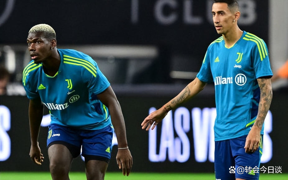 转会期纽约尼克斯调整名单以备意甲；门线救险环节打磨；赛场秩序良好；细节决定成败的简单介绍